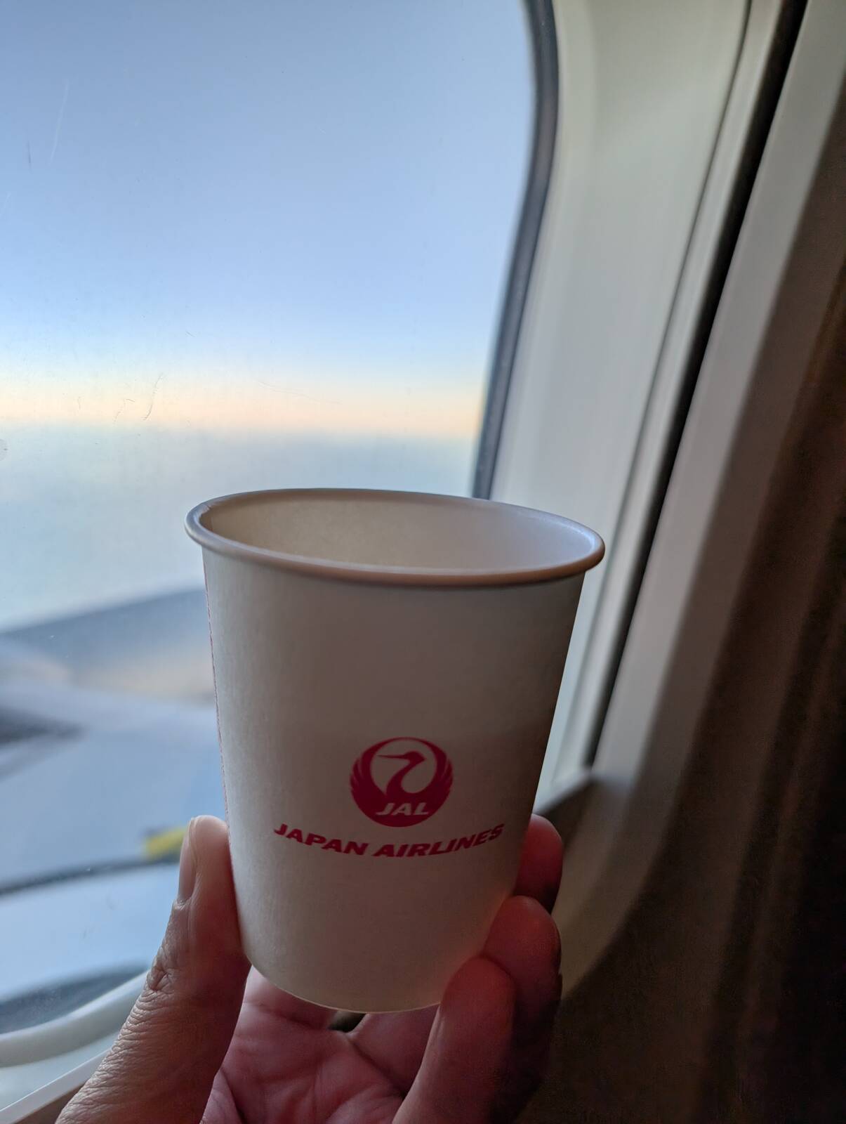 本日のドリンク