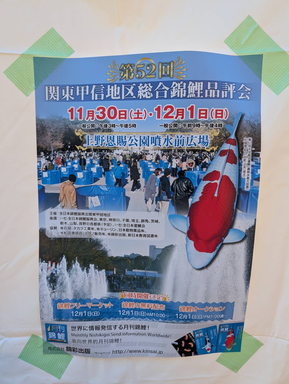 関東甲信地区総合錦鯉品評会