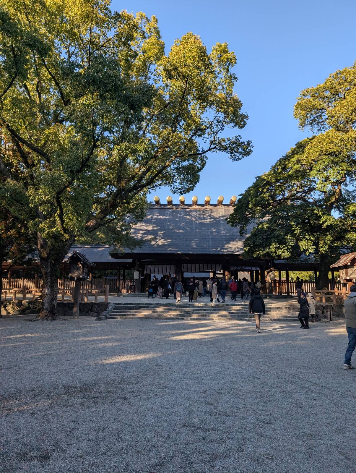 本宮