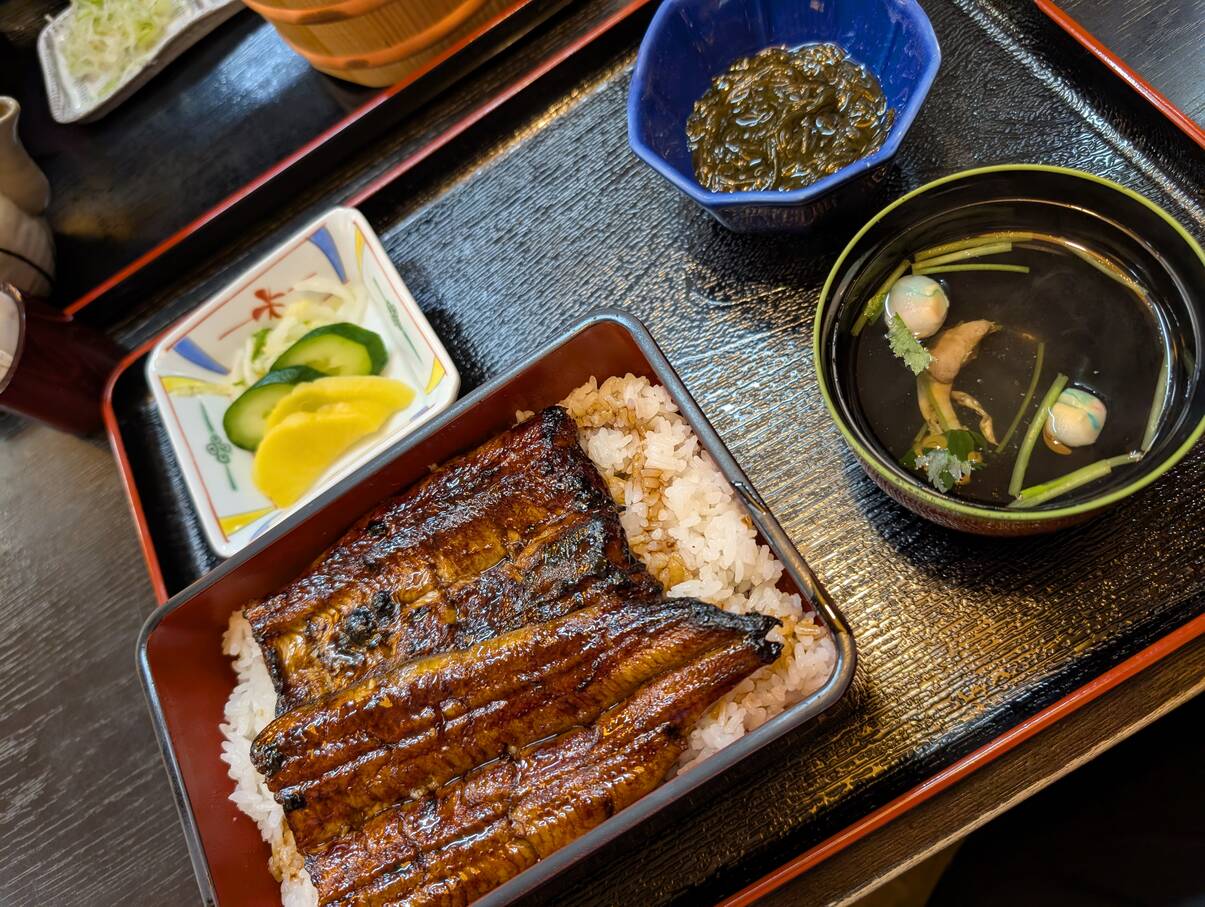 本日の夕食
