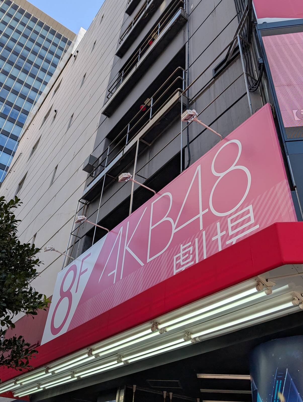 ドンキ来店