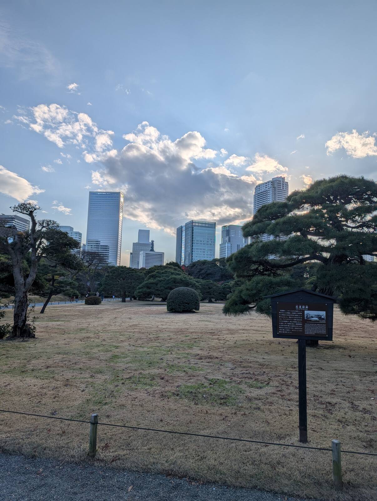 都会の庭園