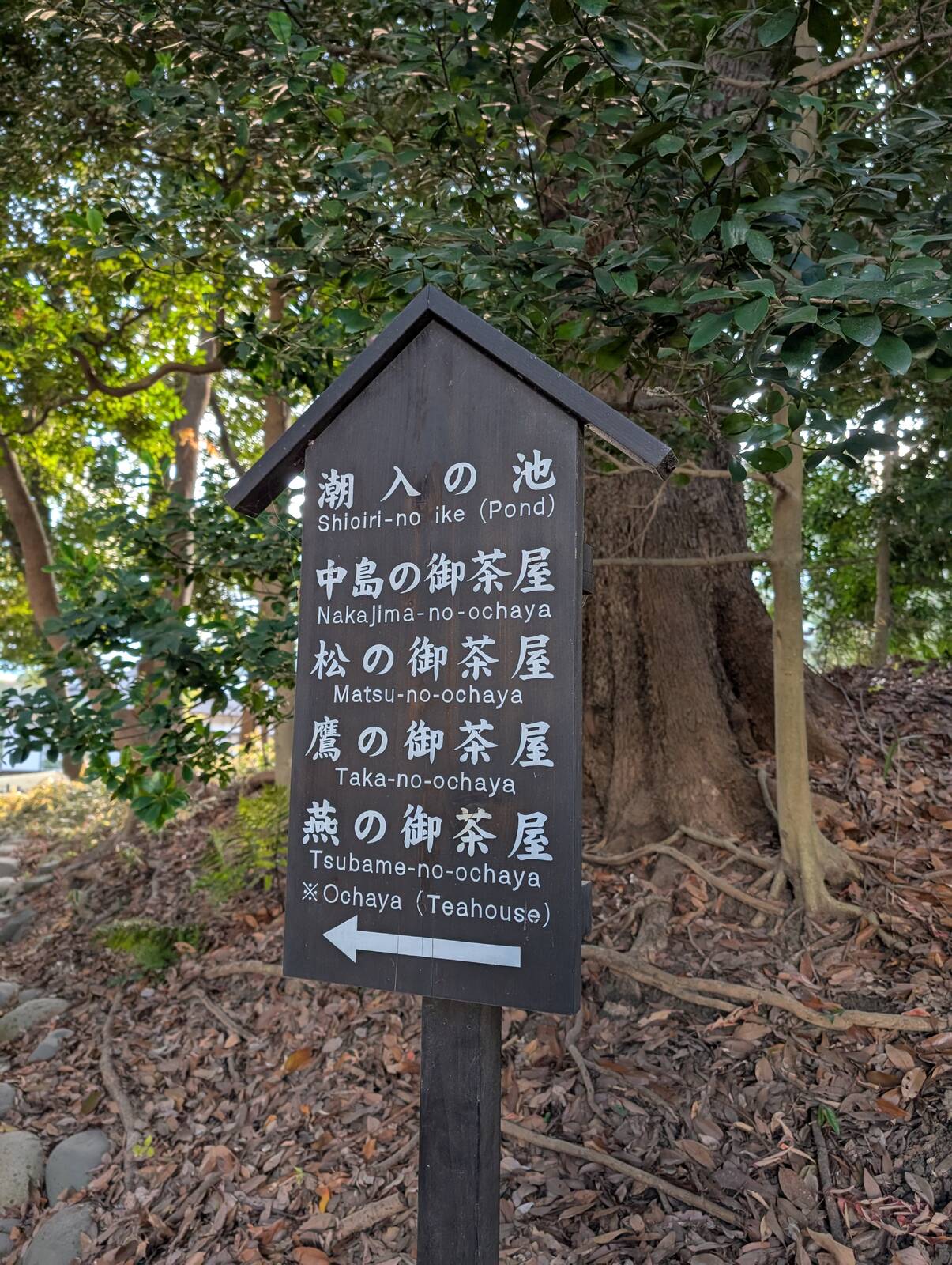 お茶屋