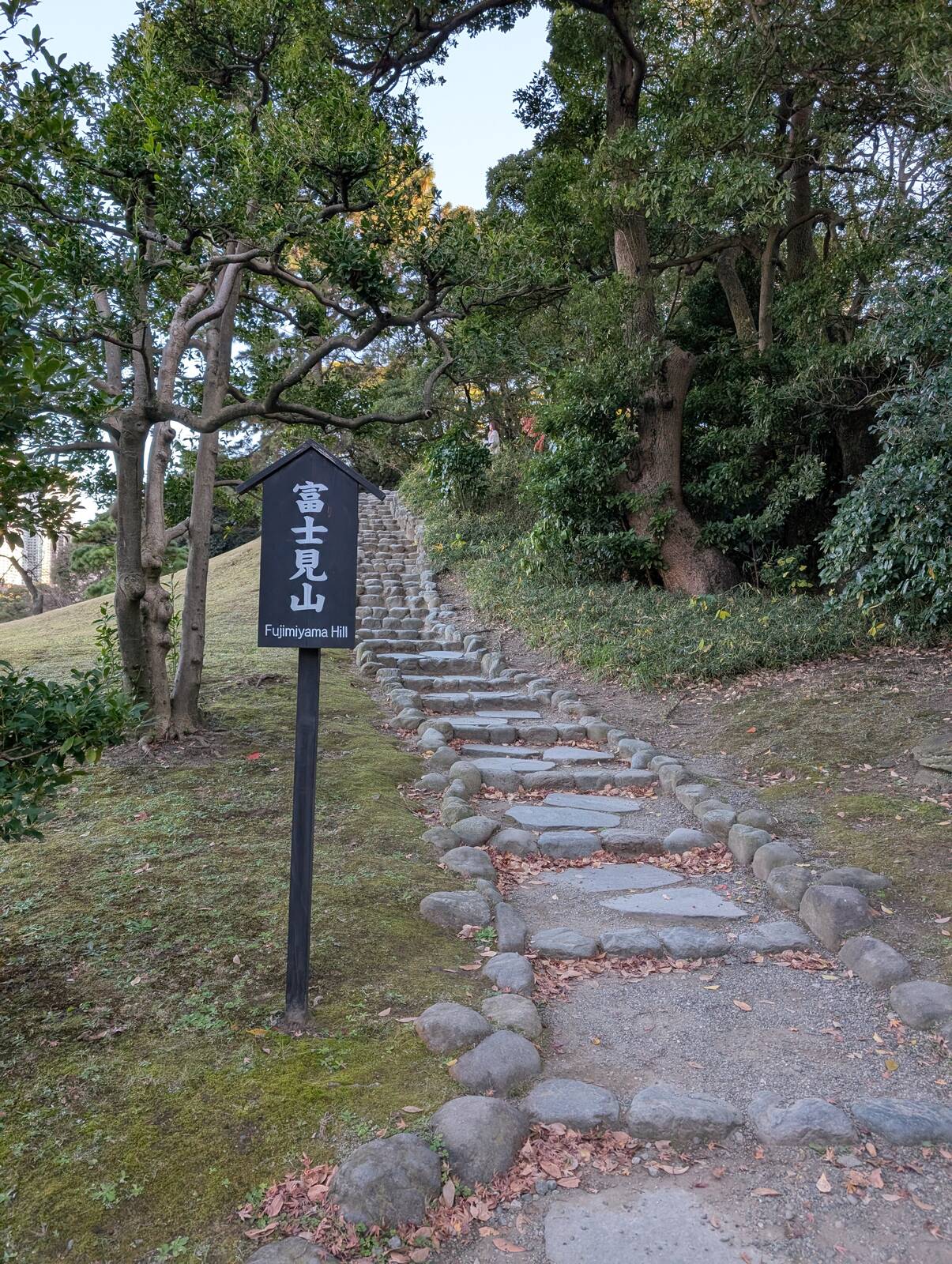 富士見山