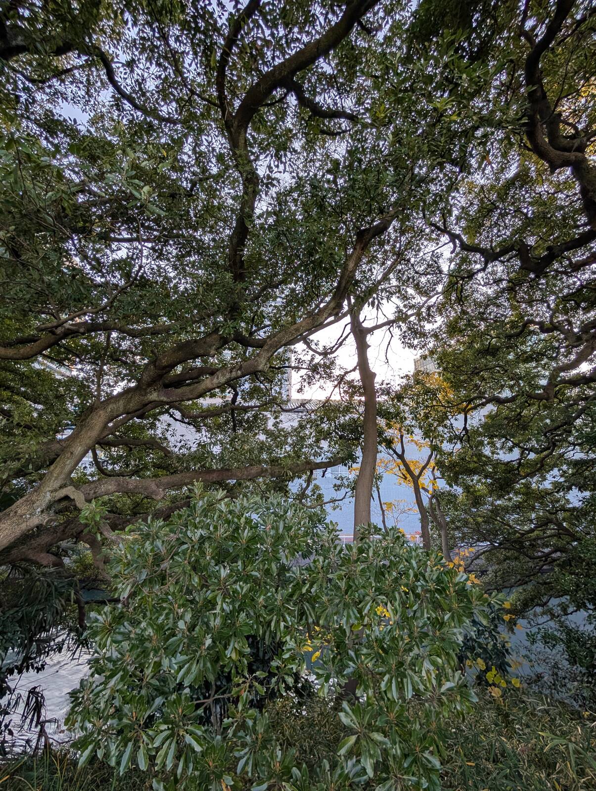 山頂からの風景