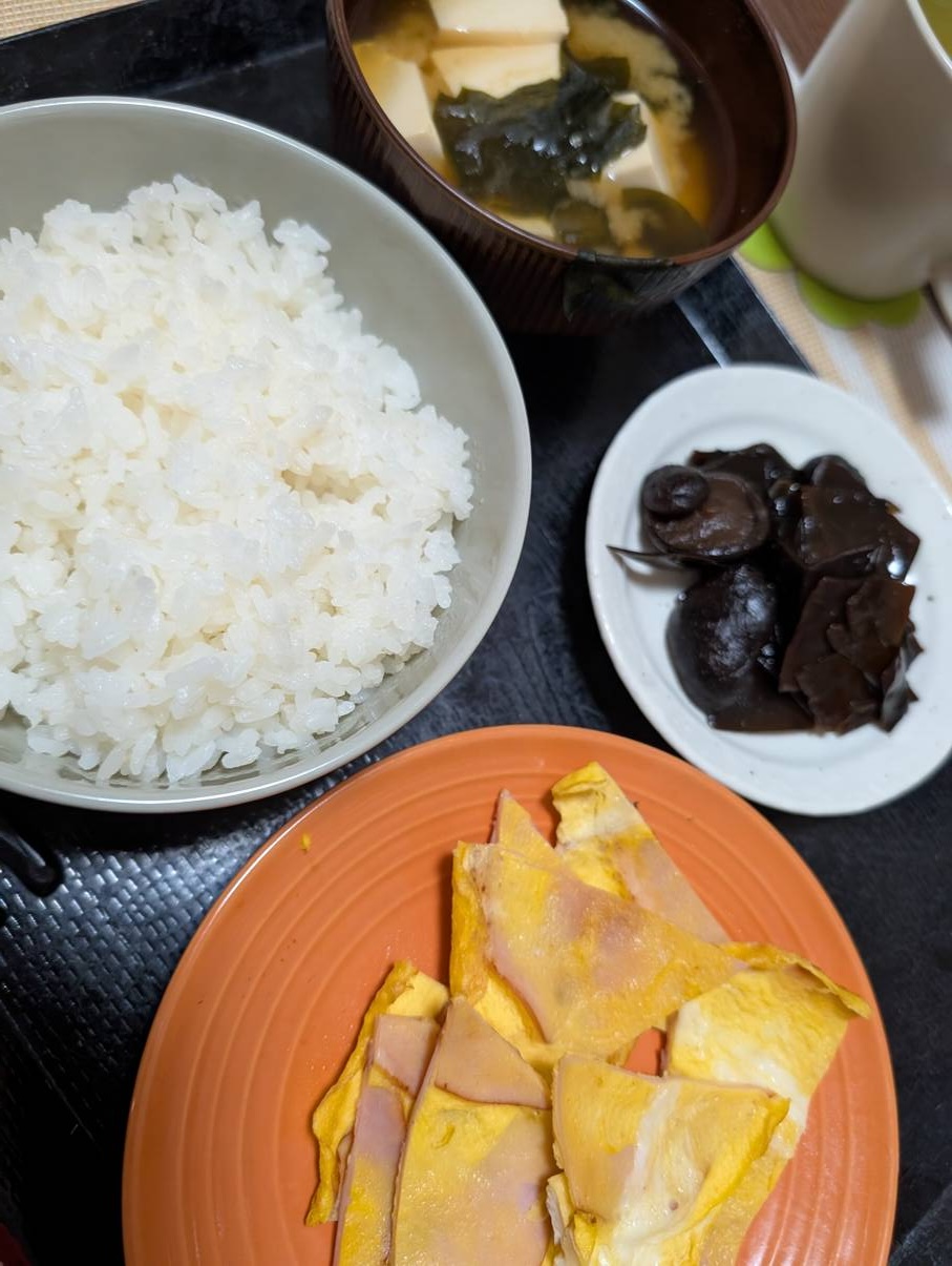 本日の朝食兼昼食