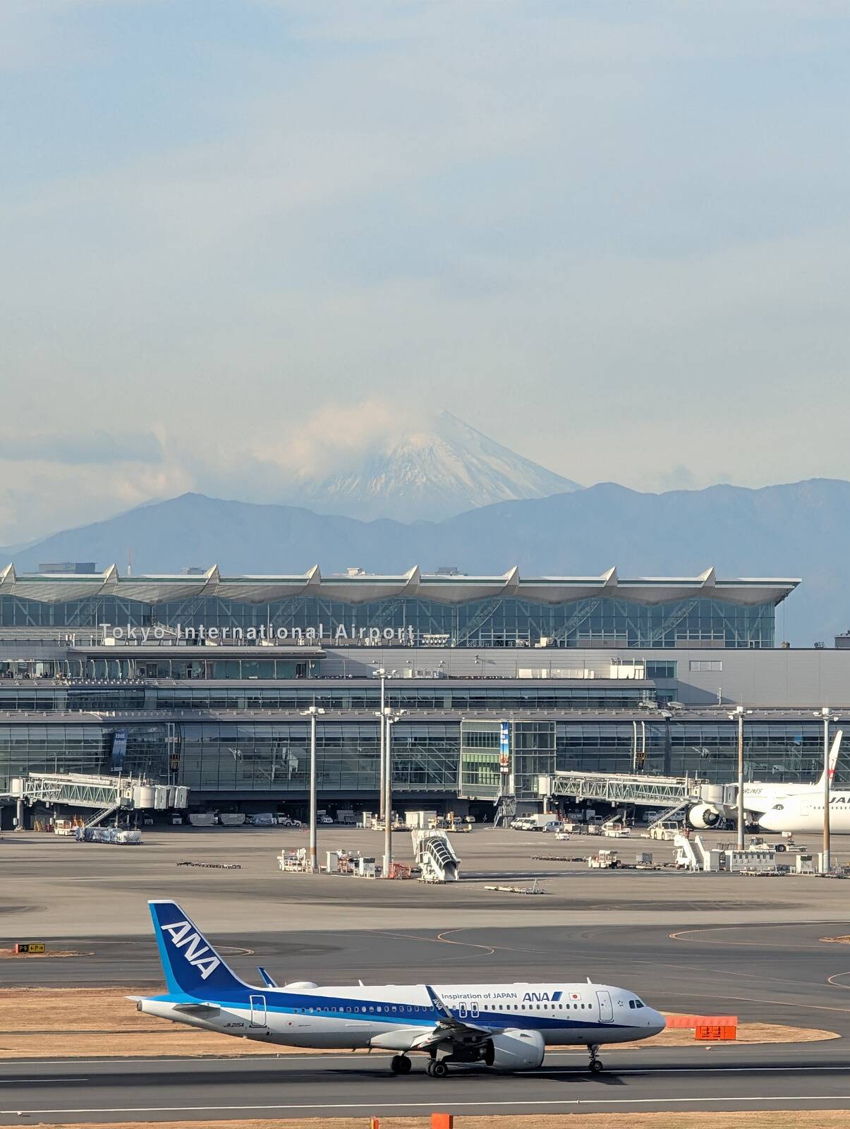本日の富士山