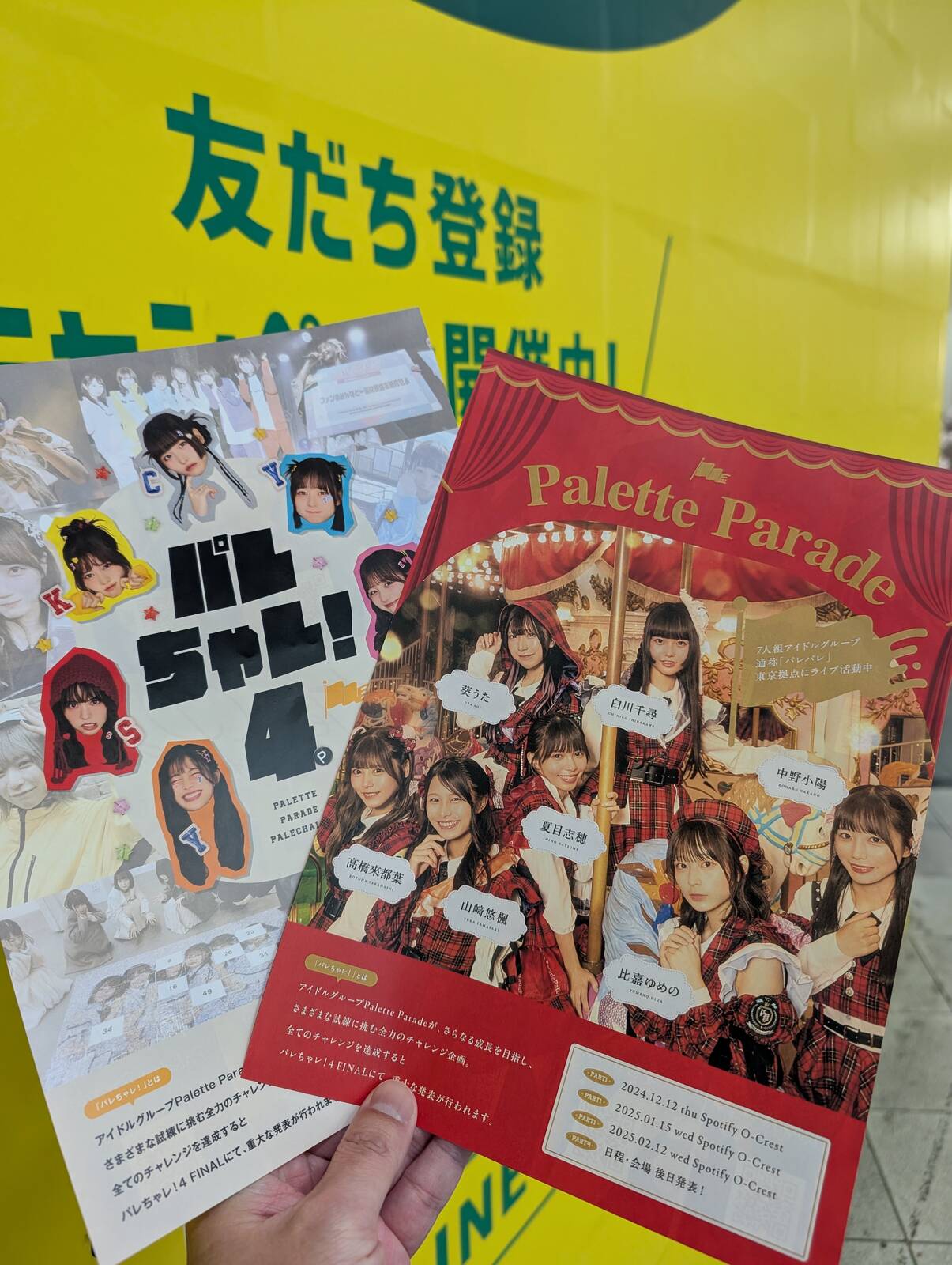 チラシ入手