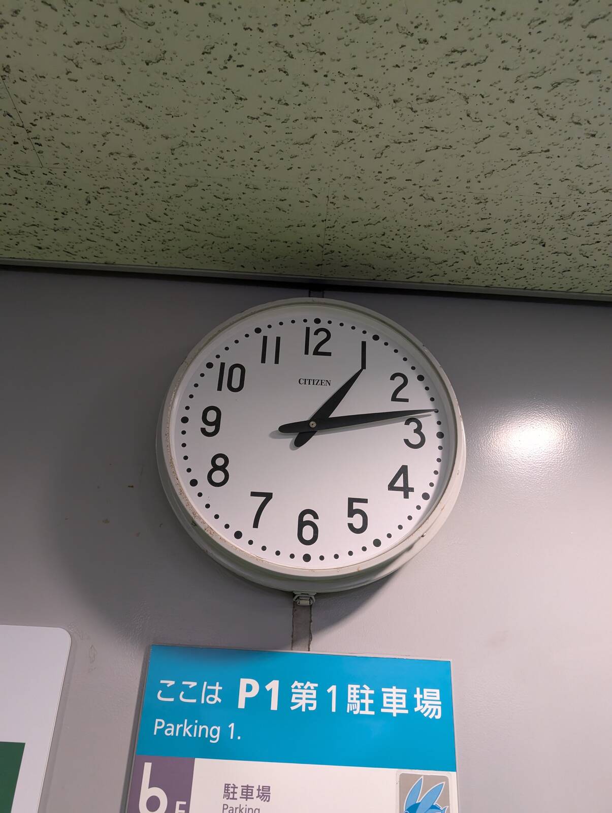 これからお帰り