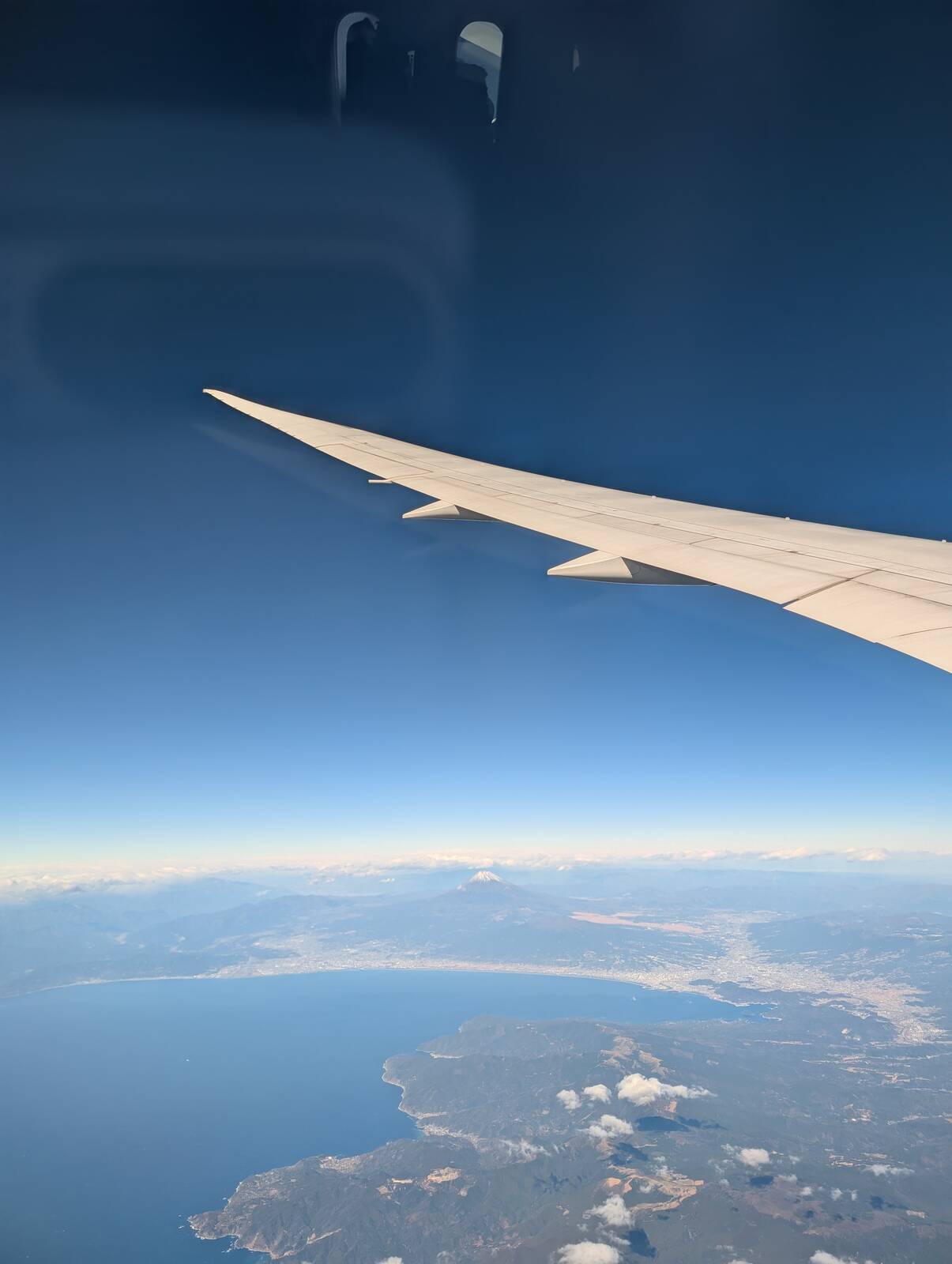 787の主翼