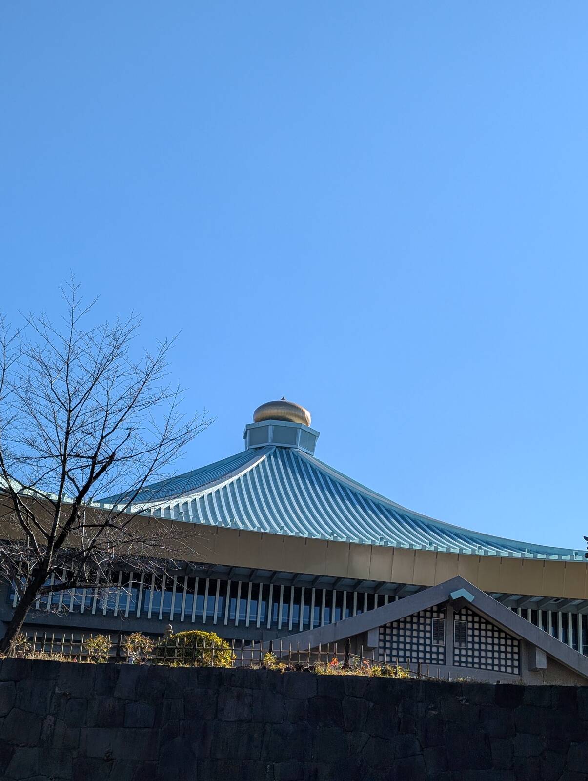 玉ねぎ