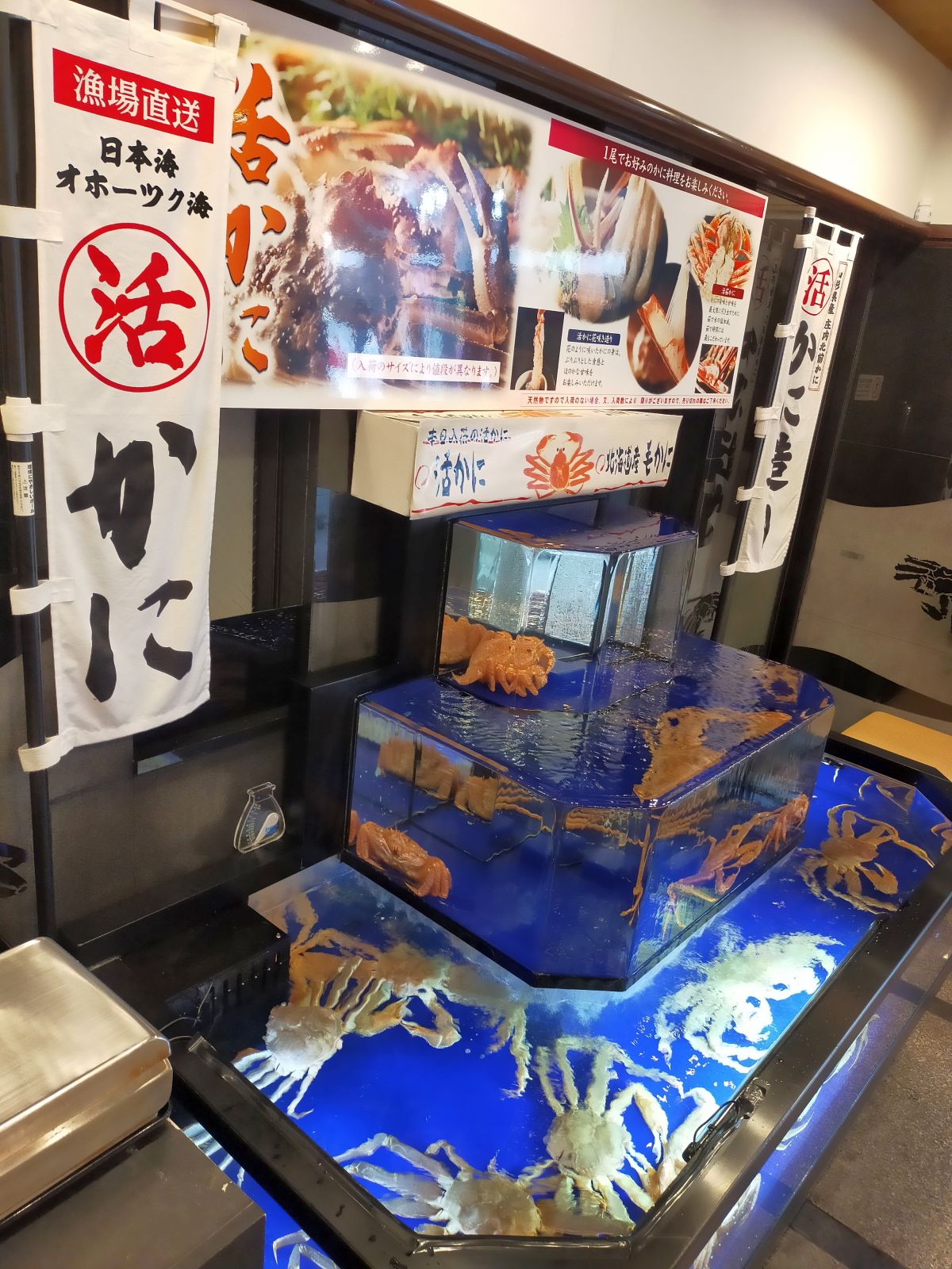 かにの水槽