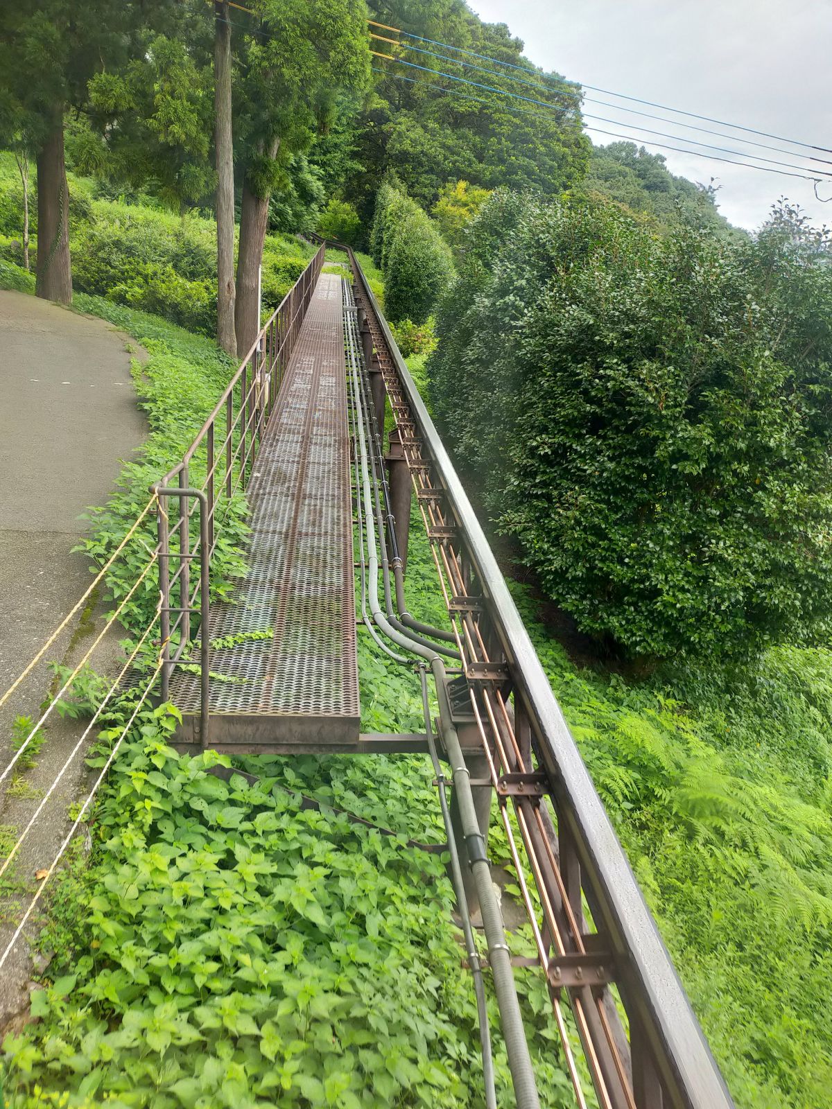 モノレールの線路