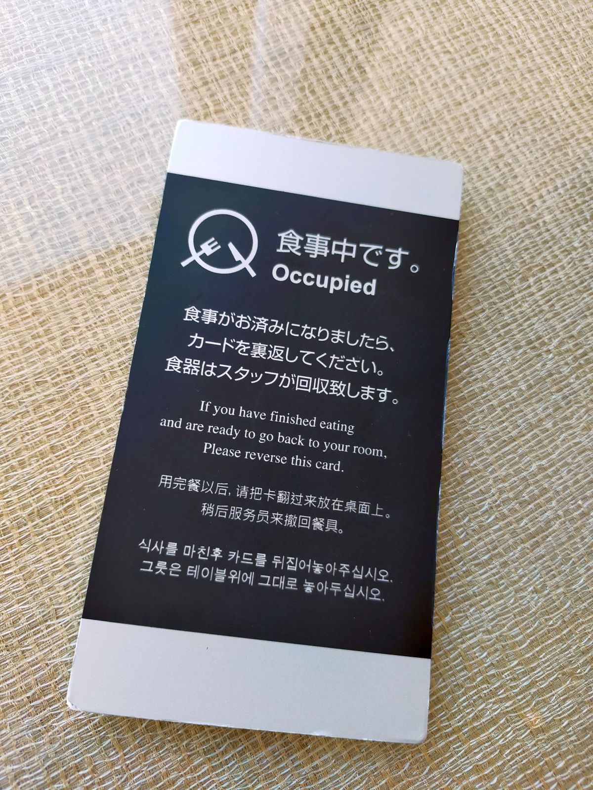 食事中です。