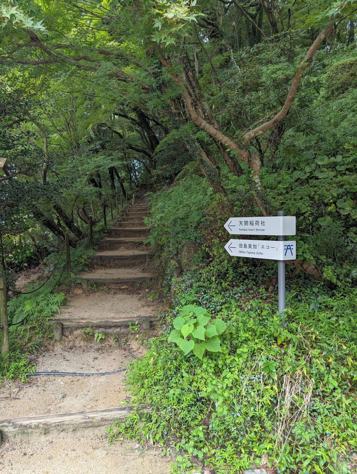 稲荷社への入口