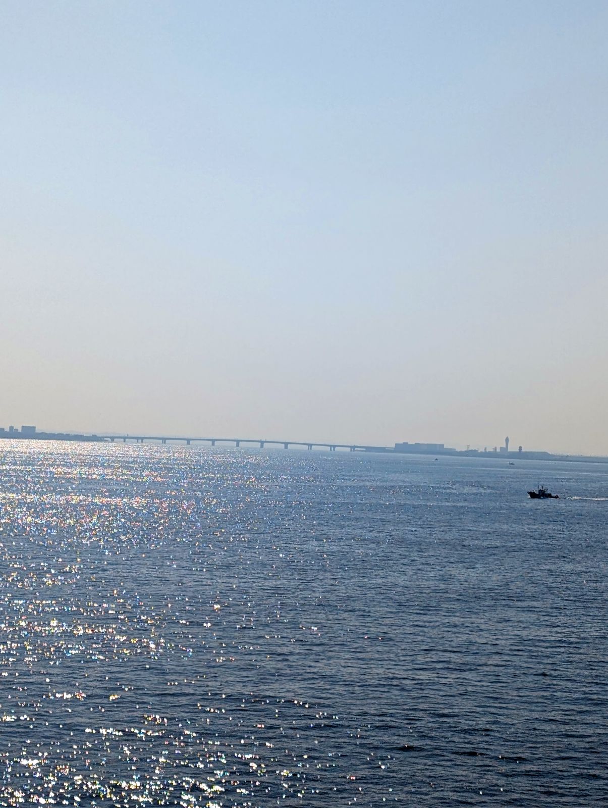 セントレア大橋