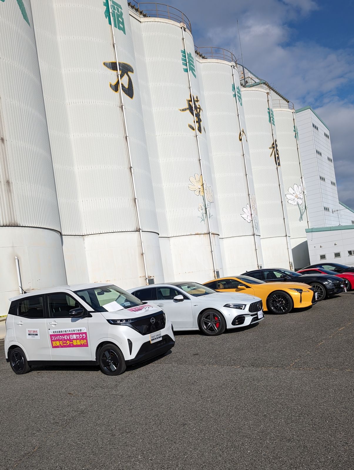 大衆車の展示