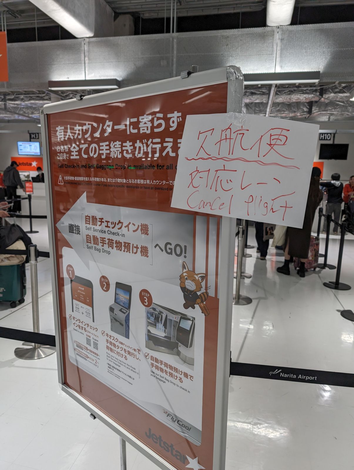 欠航便対応レーン